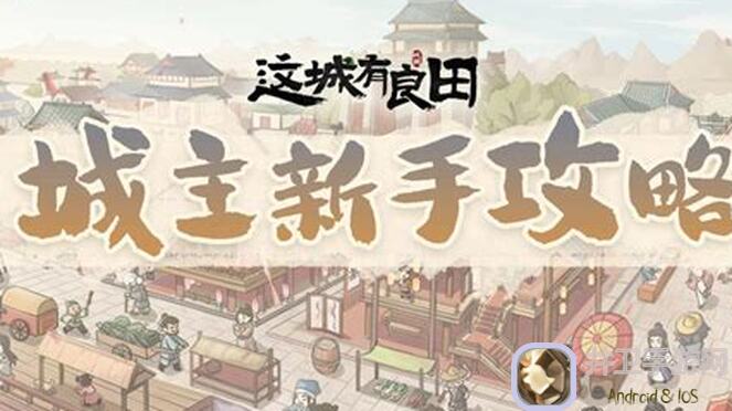 这城有良田杨玉环怎么搭配？实战测评全解析来啦！