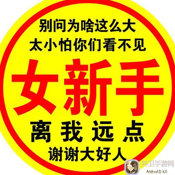 新手必看！暴走英雄坛499太稽剑非保底阵容，如何搭配最强英雄攻略揭秘