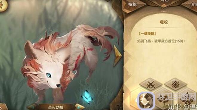 万象物语萌新必看！新手入门全攻略指南，快速提升战力的宝藏秘籍大公开！