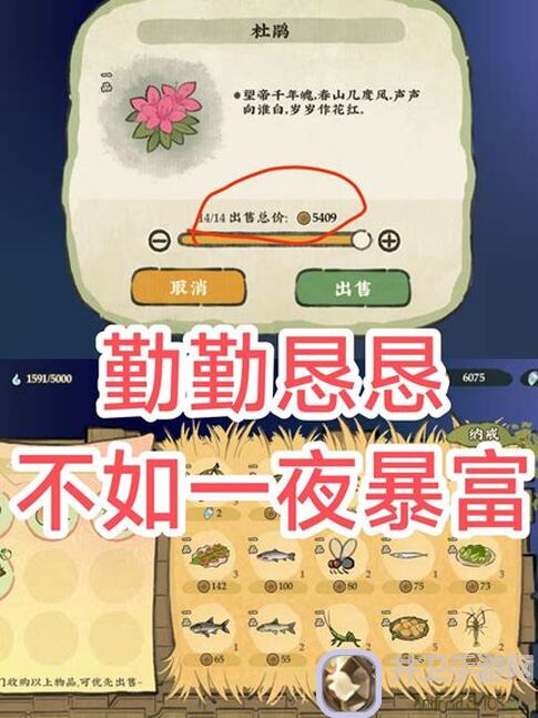 仙山小农游戏中期秘境零失败攻略，轻松通关秘境技巧大揭秘！