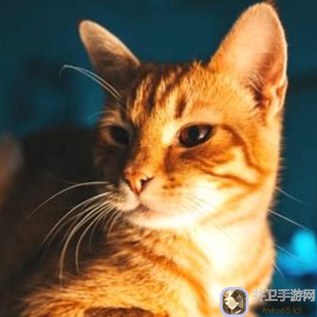 想不想在修真域外中快速提升？独家攻略，助你秒变战神！