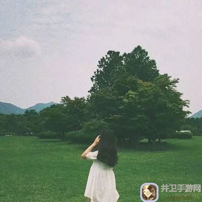 假未来重构测试趣味数据大揭秘！速来围观隐藏数据速破技巧