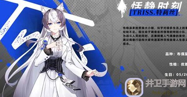 猫之城开服必看！玩家超详细开服攻略解锁隐藏福利