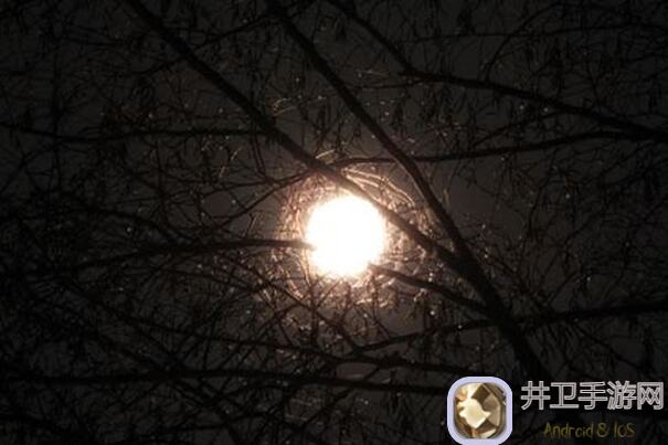 月圆之夜黑市大揭秘！教你自然搭配，爽歪歪攻略必看！