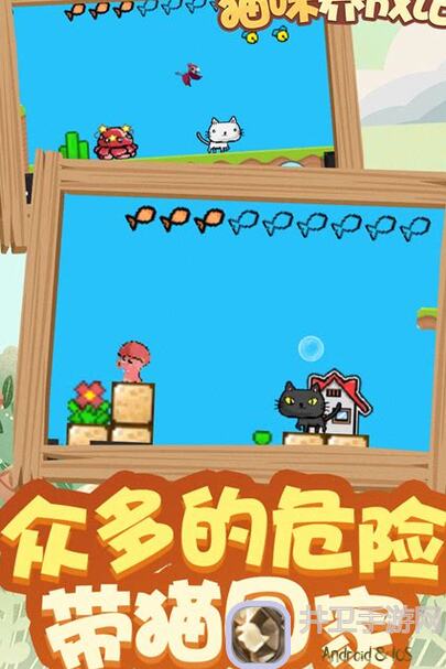 猫咪与老鼠：托破事最强卡组揭秘！