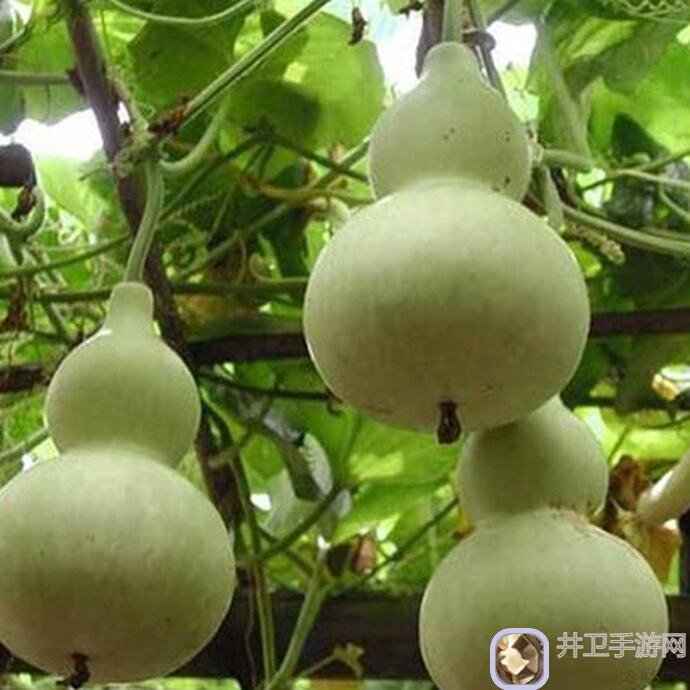 葫芦娃葫芦娃182关卡逐个击破！超详细推图攻略助你轻松通关！